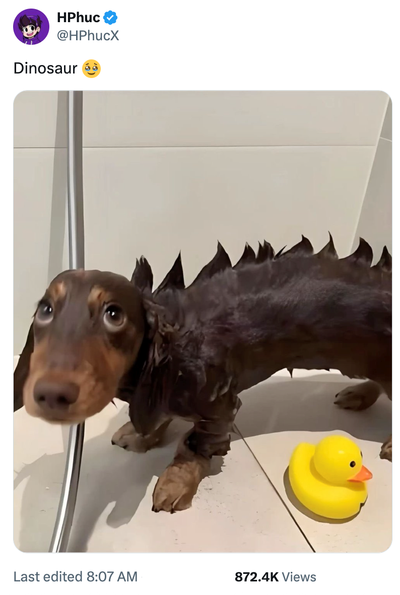 HPhuc @HPhucX Dinosaur Last edited 8:07 AM 872.4K Views