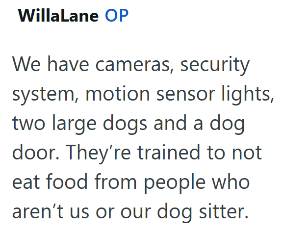 WillaLane OP We have cameras, security system, motion sensor lights, two large dogs and a dog door. They're trained to not eat food from people who aren't us or our dog sitter.