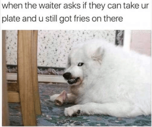 when the waiter asks if they can take ur plate and u still got fries on there