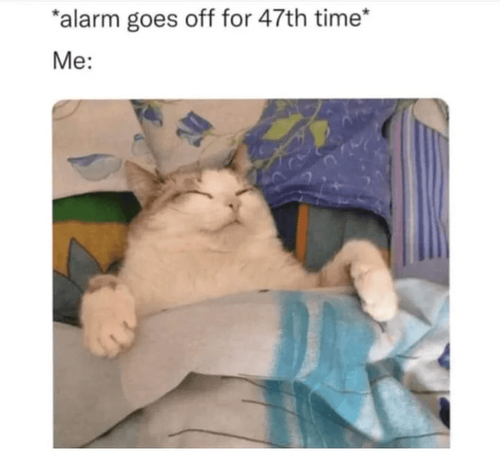 *alarm goes off for 47th time* Me: