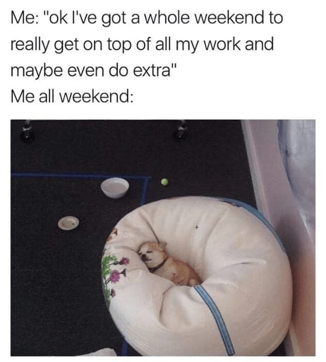 Me: "ok I've got a whole weekend to really get on top of all my work and maybe even do extra" Me all weekend: