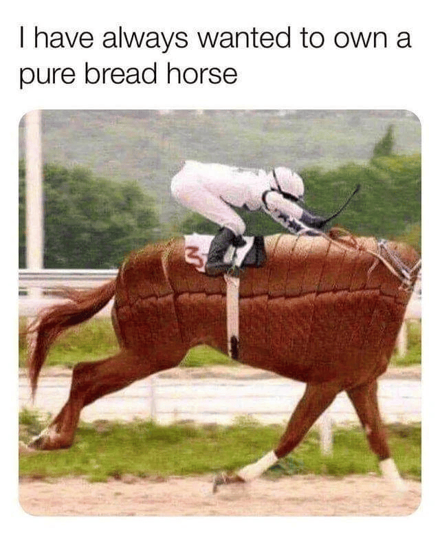 I have always wanted to own a pure bread horse