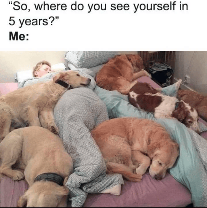"So, where do you see yourself in 5 years?" Me:
