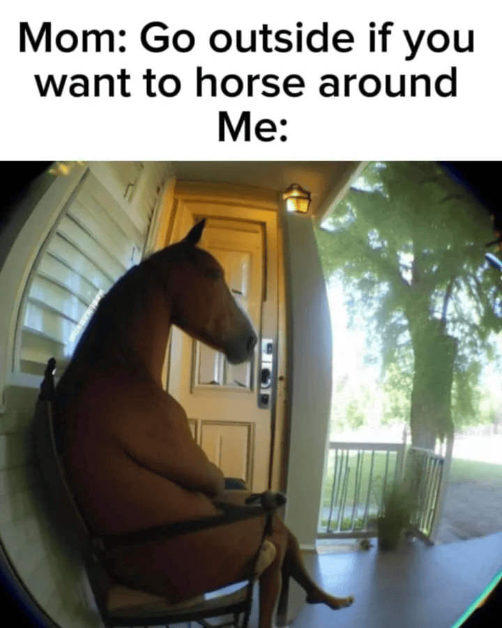 Mom: Go outside if you want to horse around Me: