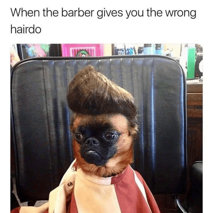 When the barber gives you the wrong hairdo