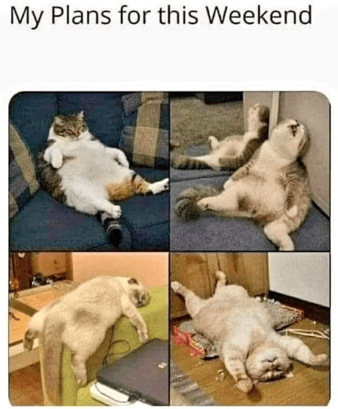 My Plans for this Weekend