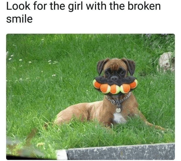 Look for the girl with the broken smile
