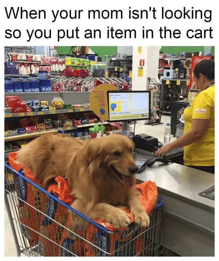 CANNE CEREAL CERGAL CEREAL When your mom isn't looking so you put an item in the cart 10% VENDA FIDELEZADO DIL
