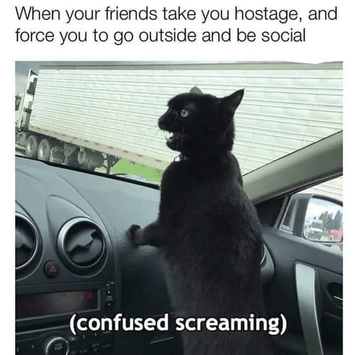 When your friends take you hostage, and force you to go outside and be social (confused screaming)