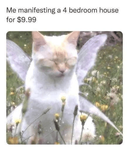 Me manifesting a 4 bedroom house for $9.99