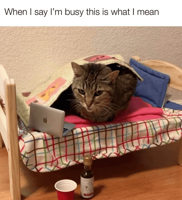 When I say I'm busy this is what I mean