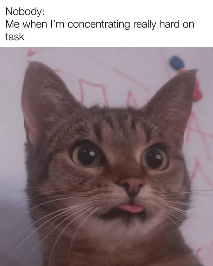 Nobody: Me when I'm concentrating really hard on task 0