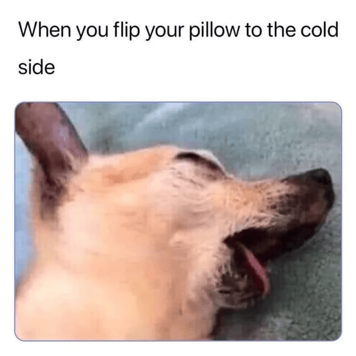 When you flip your pillow to the cold side