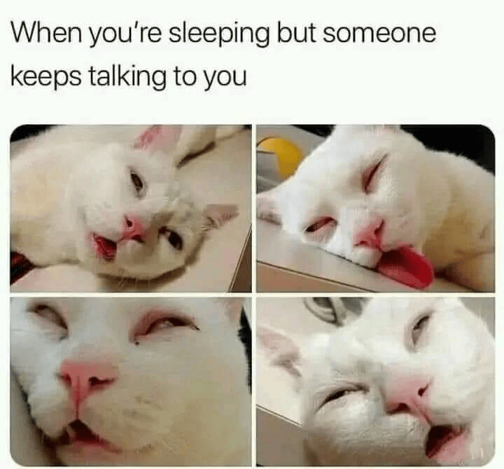 When you're sleeping but someone keeps talking to you