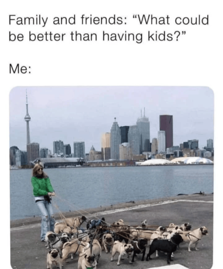 Family and friends: "What could be better than having kids?" Me:
