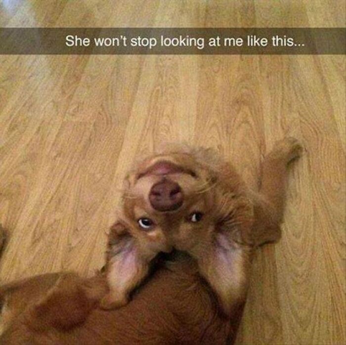 She won't stop looking at me like this...