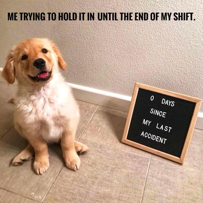 ME TRYING TO HOLD IT IN UNTIL THE END OF MY SHIFT. Pogo 0 DAYS SINCE MY LAST ACCIDENT