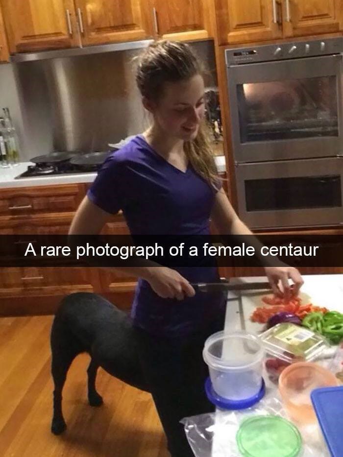 A rare photograph of a female centaur