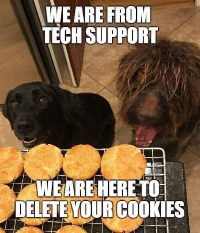 WE ARE FROM TECH SUPPORT WE ARE HERE TO DELETE YOUR COOKIES