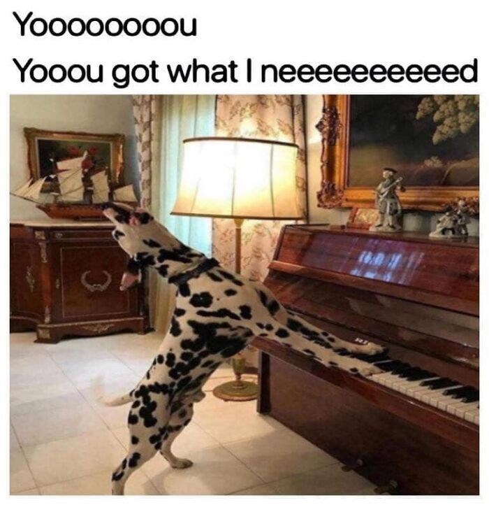 Yoooooooou Yooou got what I neeeeeeeeeed