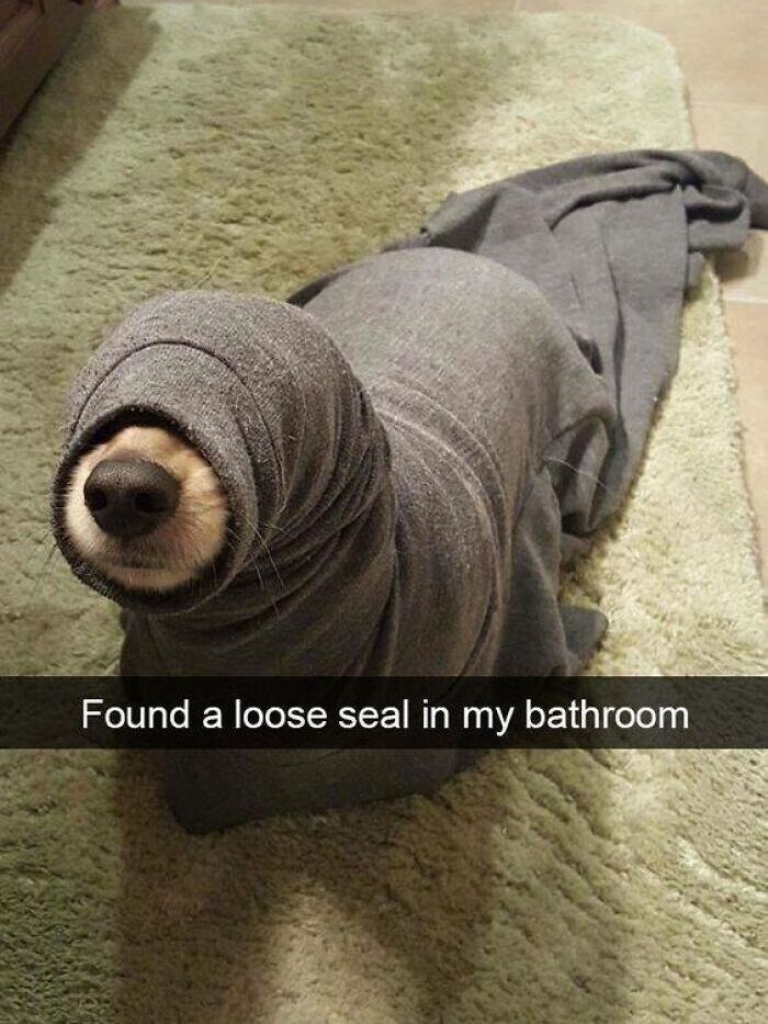 Found a loose seal in my bathroom