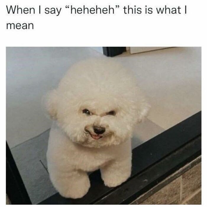 When I say "heheheh" this is what I mean