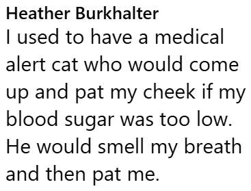 Heather Burkhalter I used to have a medical alert cat who would come up and pat my cheek if my blood sugar was too low. He would smell my breath and then pat me.