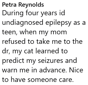 Petra Reynolds During four years id undiagnosed epilepsy as a teen, when my mom refused to take me to the dr, my cat learned to predict my seizures and warn me in advance. Nice to have someone care.
