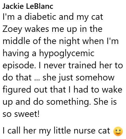 Jackie LeBlanc I'm a diabetic and my cat Zoey wakes me up in the middle of the night when I'm having a hypoglycemic episode. I never trained her to do that ... she just somehow figured out that I had to wake up and do something. She is so sweet! I call her my little nurse cat