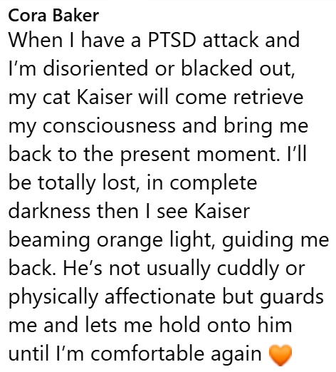 Cora Baker When I have a PTSD attack and I'm disoriented or blacked out, my cat Kaiser will come retrieve my consciousness and bring me back to the present moment. I'll be totally lost, in complete darkness then I see Kaiser beaming orange light, guiding me back. He's not usually cuddly or physically affectionate but guards me and lets me hold onto him until I'm comfortable again