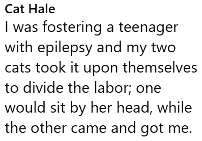 Cat Hale I was fostering a teenager with epilepsy and my two cats took it upon themselves to divide the labor; one would sit by her head, while the other came and got me.