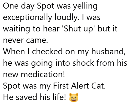 One day Spot was yelling exceptionally loudly. I was waiting to hear 'Shut up' but it never came. When I checked on my husband, he was going into shock from his new medication! Spot was my First Alert Cat. He saved his life!