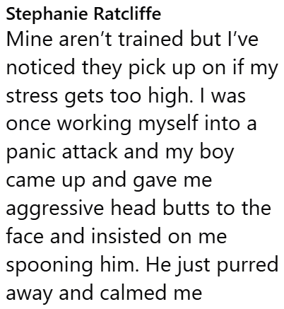 Stephanie Ratcliffe Mine aren't trained but I've noticed they pick up on if my stress gets too high. I was once working myself into a panic attack and my boy came up and gave me aggressive head butts to the face and insisted on me spooning him. He just purred away and calmed me
