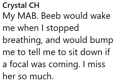 Crystal CH My MAB. Beeb would wake me when I stopped breathing, and would bump me to tell me to sit down if a focal was coming. I miss her so much.
