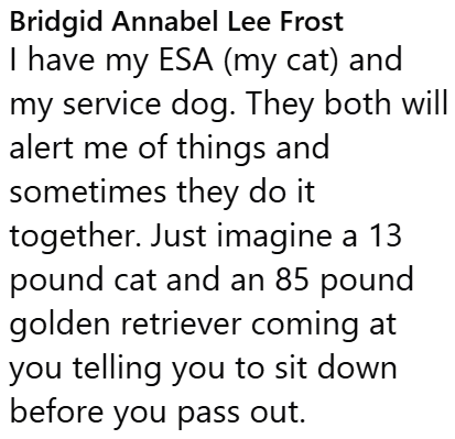 Bridgid Annabel Lee Frost I have my ESA (my cat) and my service dog. They both will alert me of things and sometimes they do it together. Just imagine a 13 pound cat and an 85 pound golden retriever coming at you telling you to sit down before you pass out.