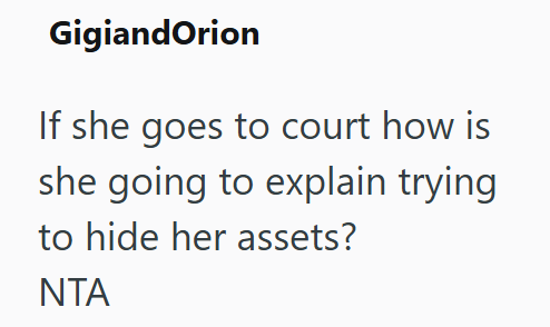 GigiandOrion If she goes to court how is she going to explain trying to hide her assets? NTA