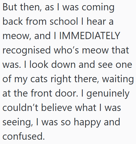 But then, as I was coming back from school I hear a meow, and I IMMEDIATELY recognised who's meow that was. I look down and see one of my cats right there, waiting at the front door. I genuinely couldn't believe what I was seeing, I was so happy and confused.