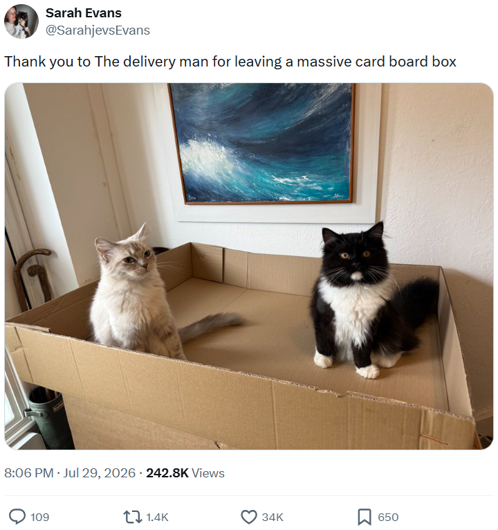 Sarah Evans @SarahjevsEvans Thank you to The delivery man for leaving a massive card board box 8:06 PM ⚫ Jul 29, 2026 - 242.8K Views 109 1.4K 34K 650