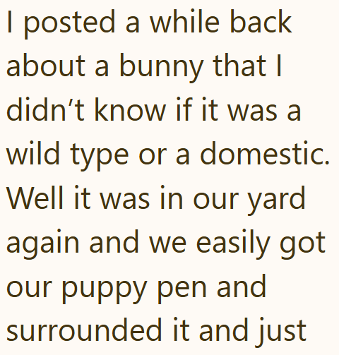 I posted a while back about a bunny that I didn't know if it was a wild type or a domestic. Well it was in our yard again and we easily got our puppy pen and surrounded it and just