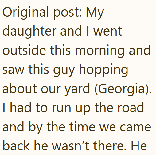 Original post: My daughter and I went outside this morning and saw this guy hopping about our yard (Georgia). I had to run up the road and by the time we came back he wasn't there. He