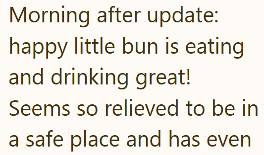 Morning after update: happy little bun is eating and drinking great! Seems so relieved to be in a safe place and has even
