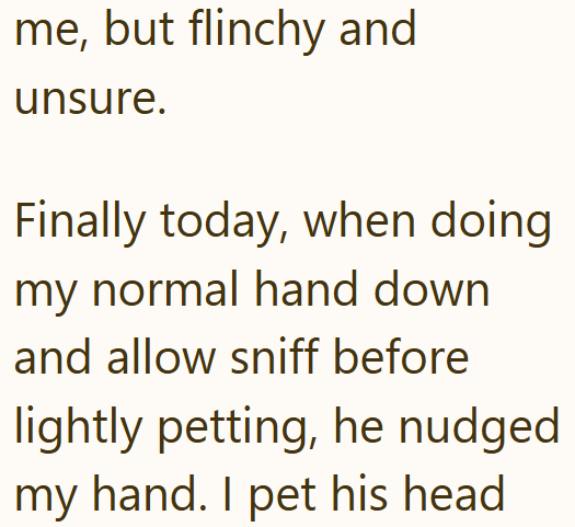 me, but flinchy and unsure. Finally today, when doing my normal hand down and allow sniff before lightly petting, he nudged my hand. I pet his head