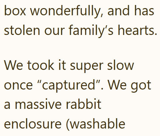box wonderfully, and has stolen our family's hearts. We took it super slow once "captured". We got a massive rabbit enclosure (washable