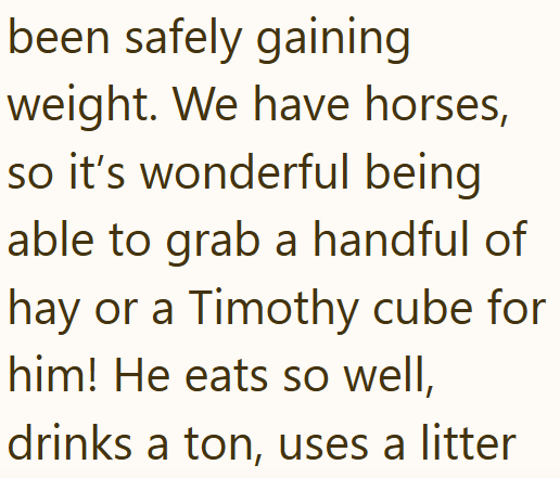 been safely gaining weight. We have horses, so it's wonderful being able to grab a handful of hay or a Timothy cube for him! He eats so well, drinks a ton, uses a litter