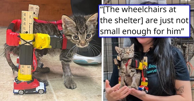27 28 29 30 INCH 1 MADE IN CHINA "[The wheelchairs at the shelter] are just not small enough for him” love bet