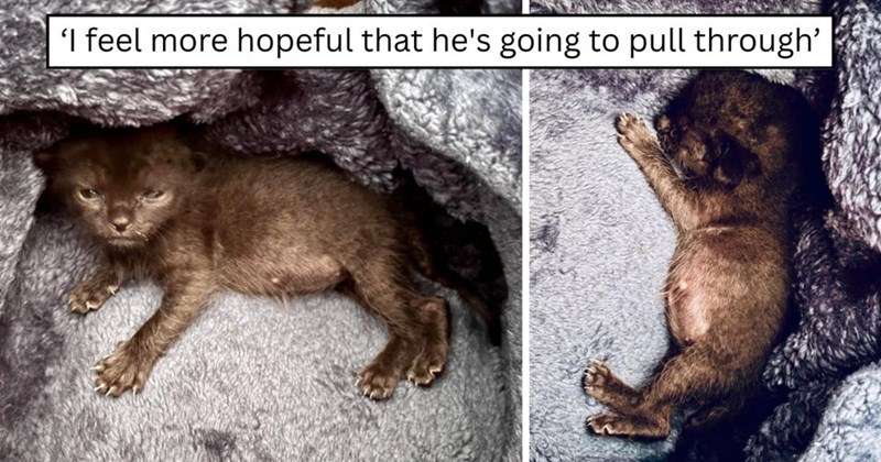 'I feel more hopeful that he's going to pull through'