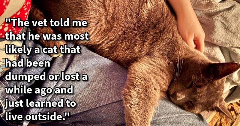 "The vet told me that he was most likely a cat that had been dumped or lost a while ago and just learned to live outside."