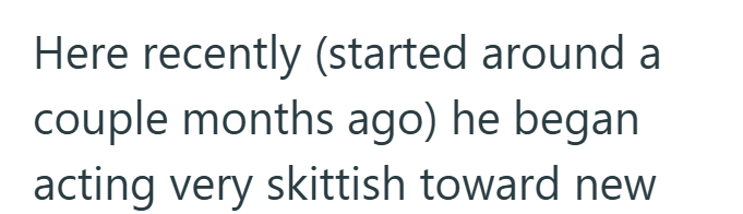 Here recently (started around a couple months ago) he began acting very skittish toward new