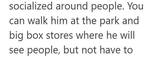 socialized around people. You can walk him at the park and big box stores where he will see people, but not have to