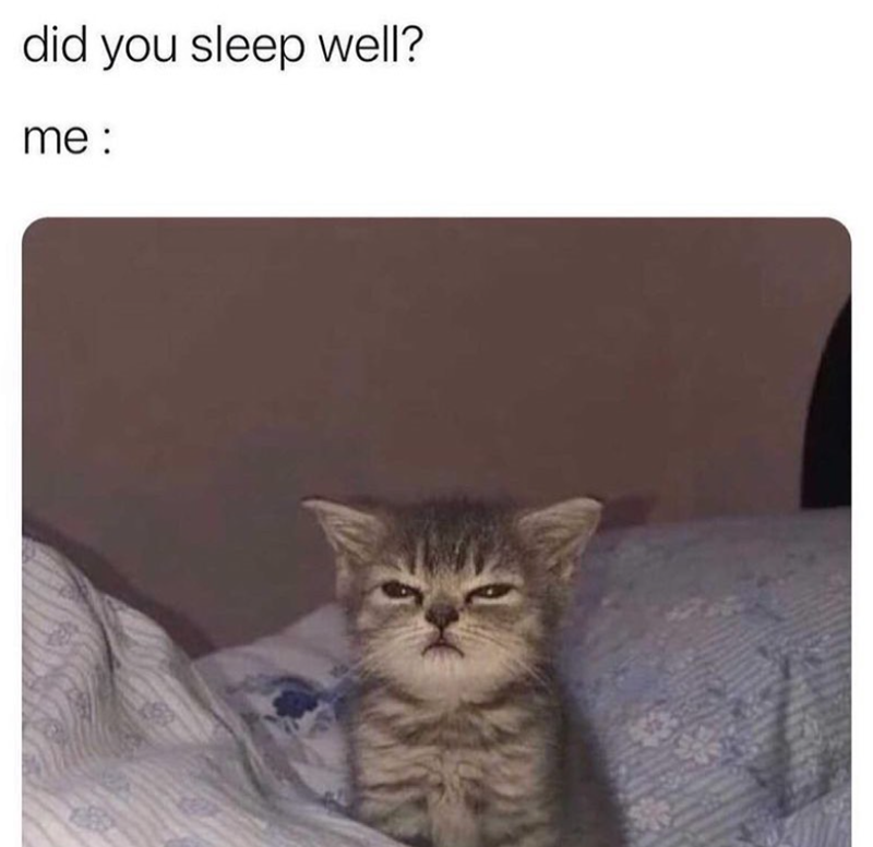 did you sleep well? me :